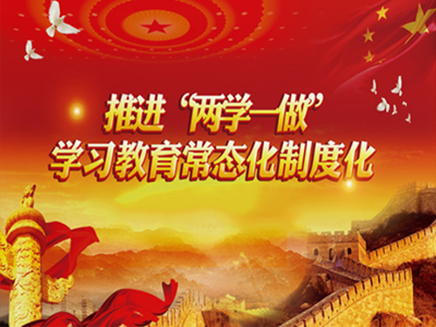 “兩學(xué)一做”專題學(xué)習(xí)