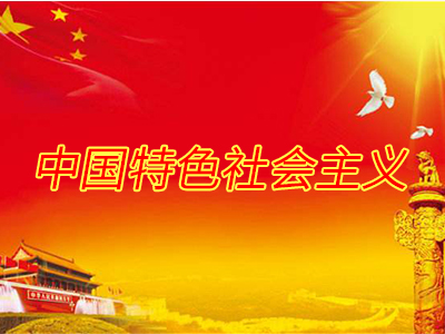 中央政法機關加強黨的建設工作綜述