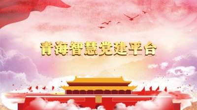 青海智慧黨建平臺(tái),青海省智慧黨建平臺(tái)