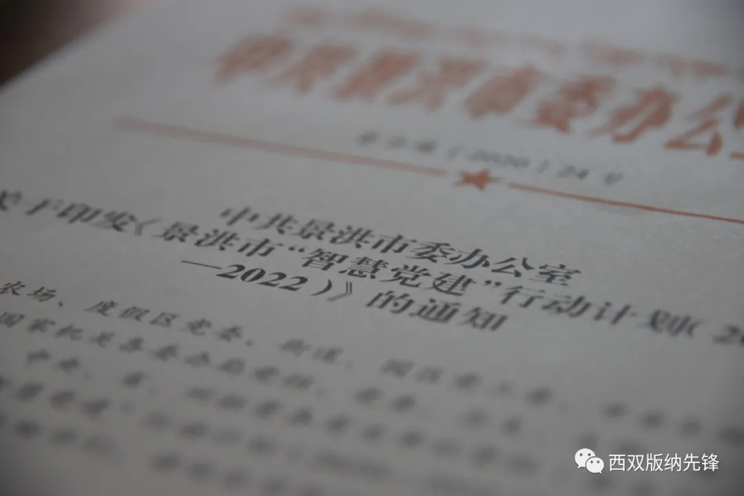 景洪市:聚“力”推進“智慧黨建”