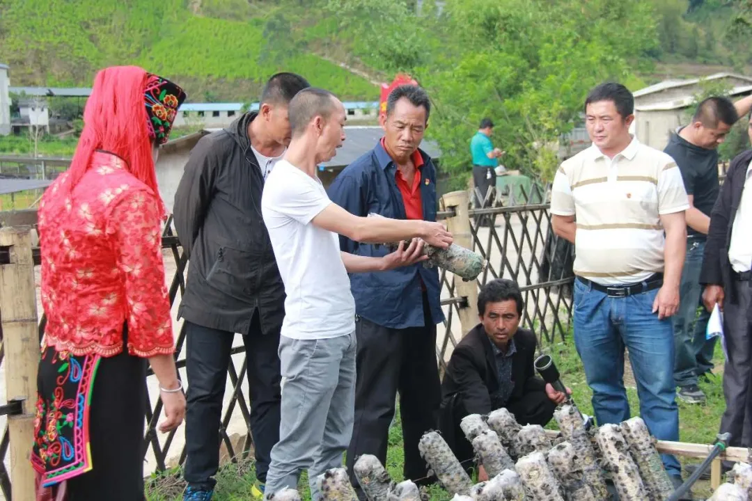 綠春縣：三個(gè)突出，實(shí)現(xiàn)“智慧黨建”真智慧