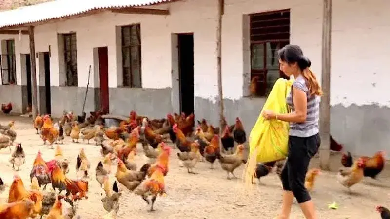 綠春縣：三個(gè)突出，實(shí)現(xiàn)“智慧黨建”真智慧