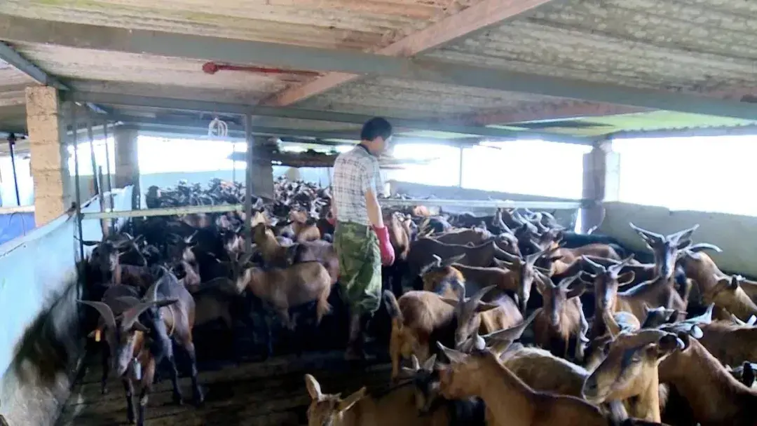 綠春縣：三個(gè)突出，實(shí)現(xiàn)“智慧黨建”真智慧