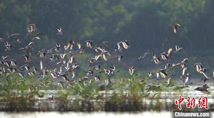 2021大事前瞻:建黨100周年“十四五”開(kāi)局